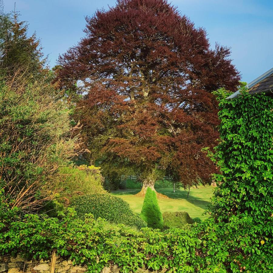 The Old Manse Of Blair, Boutique Hotel & Michelin Restaurant Blair Atholl Exterior foto